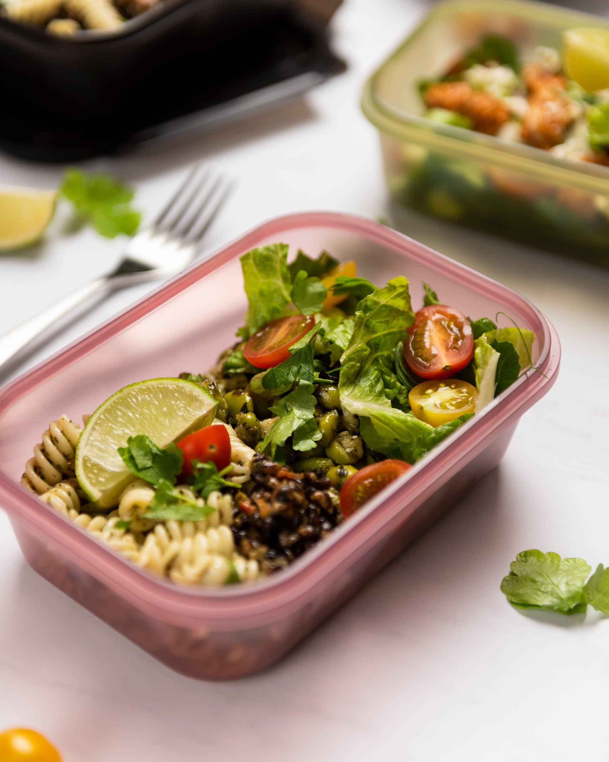 food-storage-container-deep-rose-c6 Smartshake_Food_Storage_Container_Deep_Rose_Lifestyle.jpg